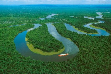 Amazonía-Selva